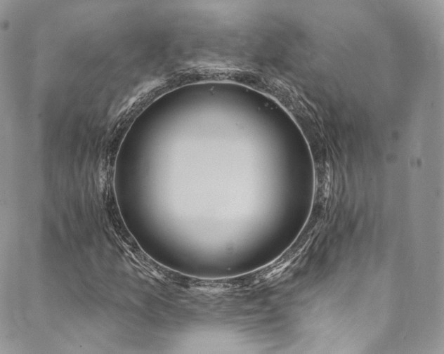 X0000089901157200706281440