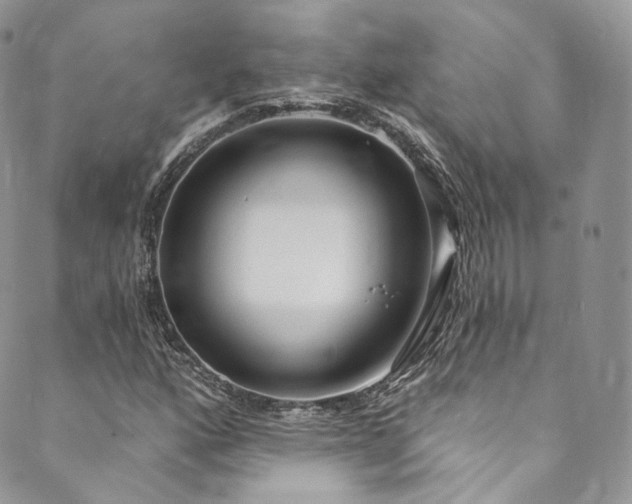 X0000089901160200706281440