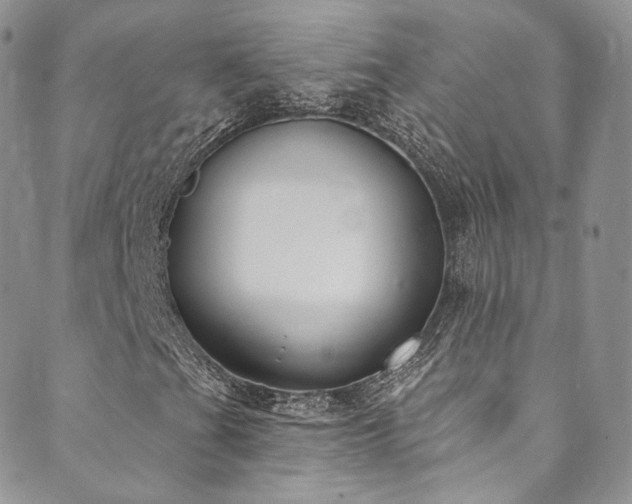 X0000089901201200706281439