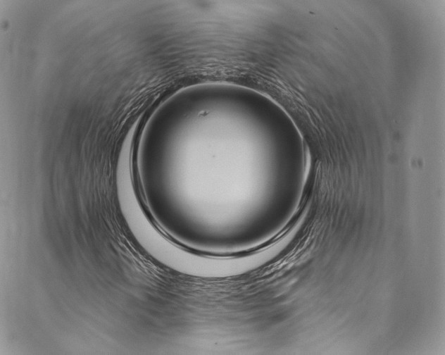 X0000089901202200706281439