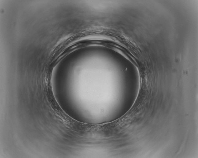 X0000089901206200706281439