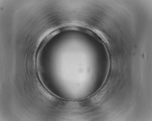 X0000089901238200706281439
