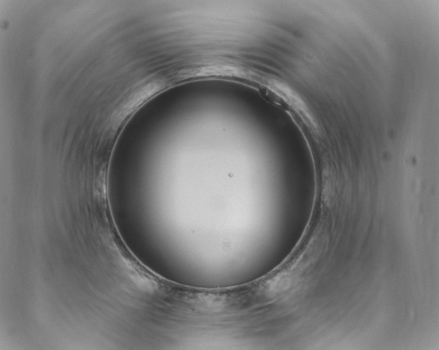 X0000089901241200706281439
