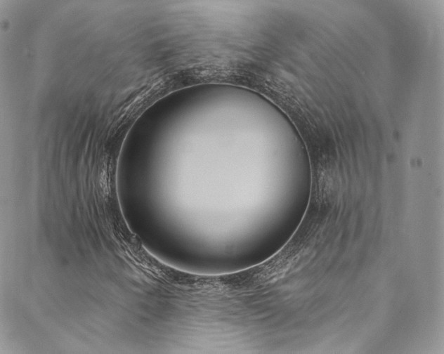 X0000089901250200706281439