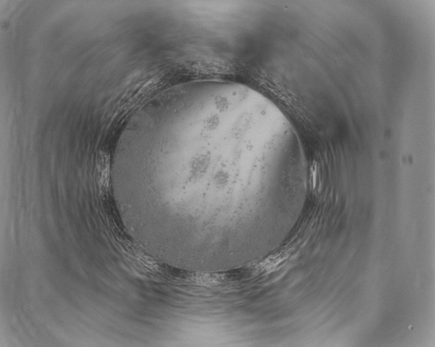 X0000089901251200706281439