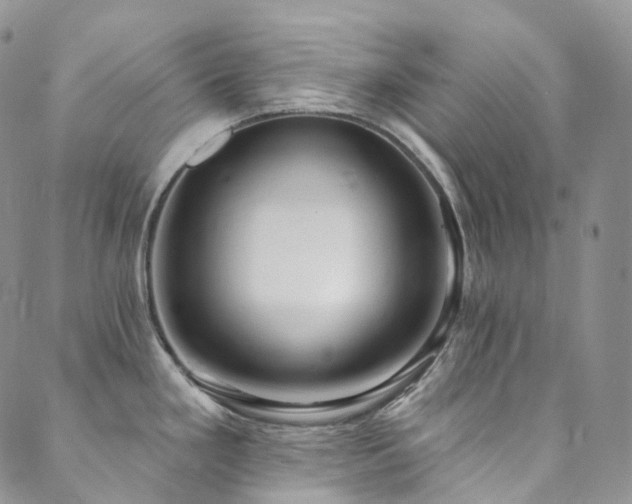 X0000089901293200706281438
