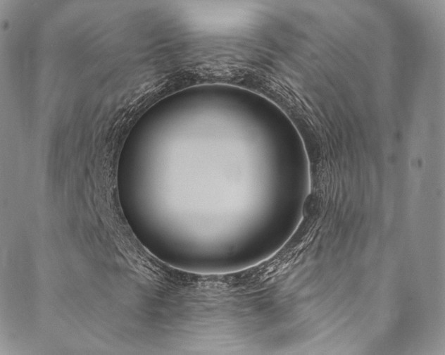 X0000089901297200706281437