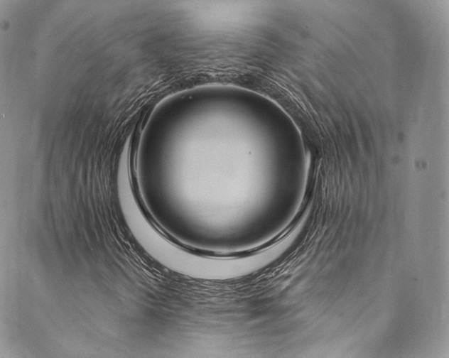 X0000089901298200706281437