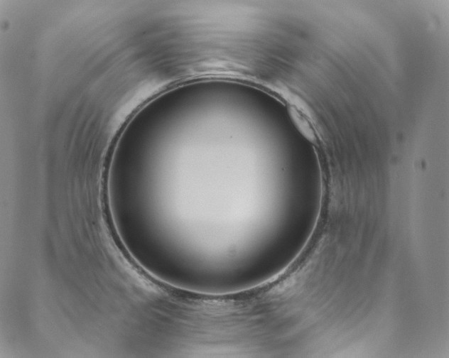 X0000089901333200706281438