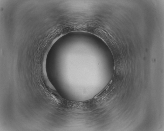 X0000089901345200706281437