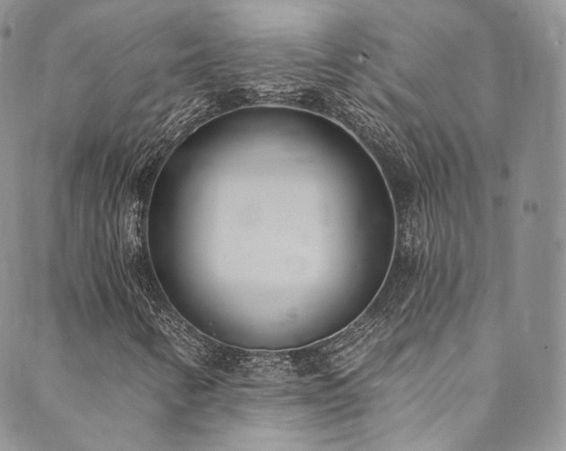 X0000089901346200706281437