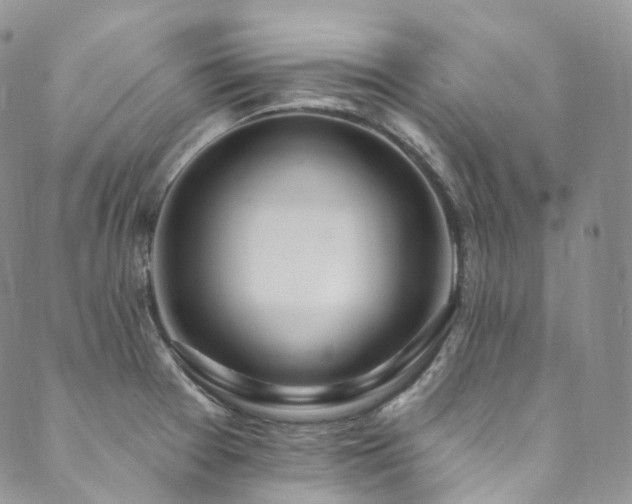 X0000089901377200706281436