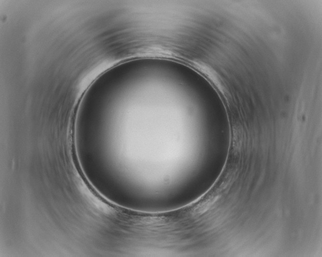 X0000089901387200706281436