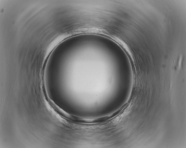 X0000089901389200706281436