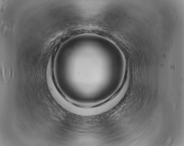 X0000089901398200706281436