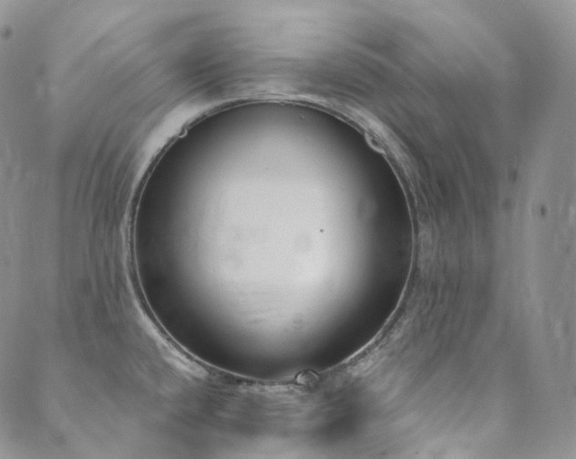 X0000089901432200706281436