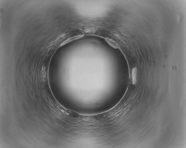 X0000089901443200706281435