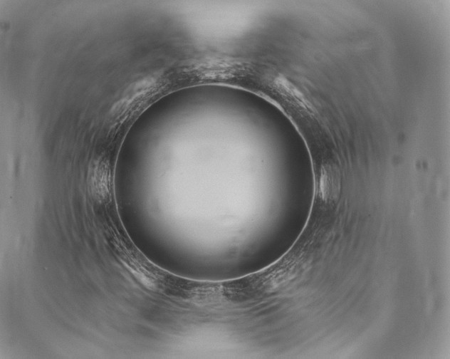 X0000089901444200706281435