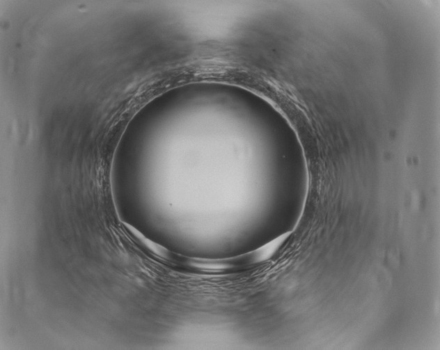 X0000089901445200706281435