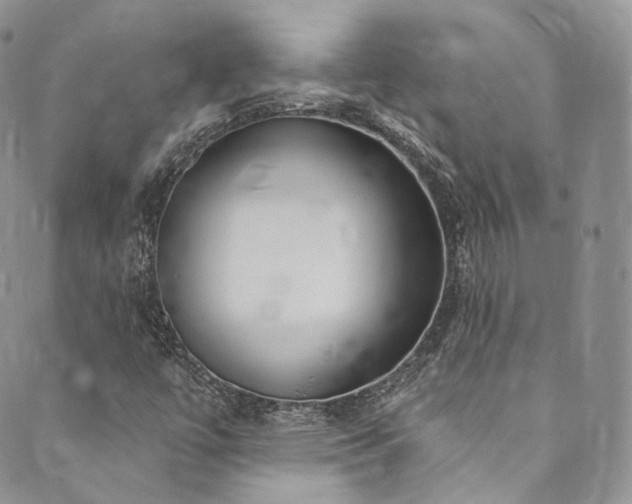 X0000089901447200706281435