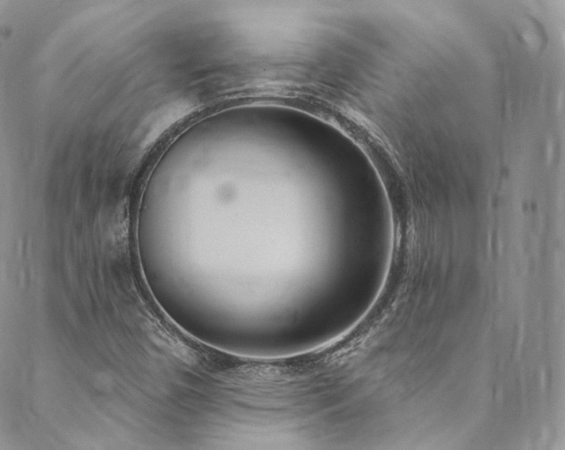 X0000089901450200706281435