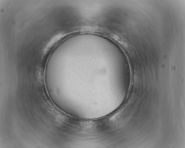 X0000089901454200706281435