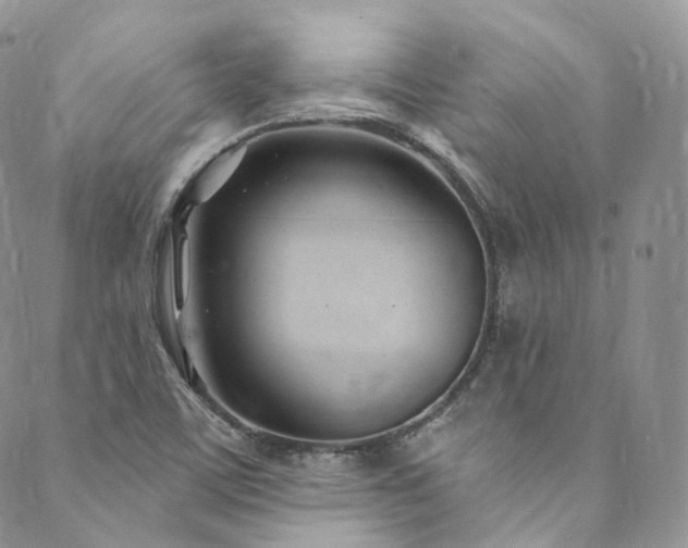 X0000089901459200706281435