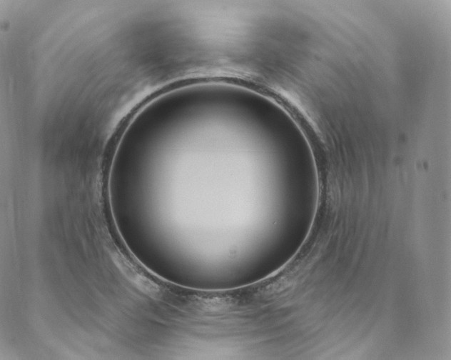 X0000089901460200706281435