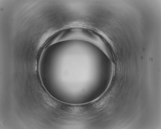 X0000089901461200706281435