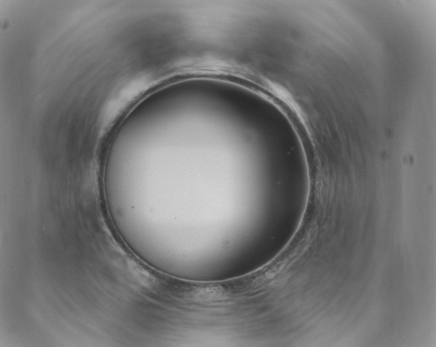 X0000089901464200706281435