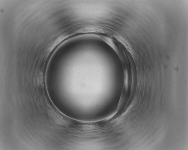 X0000089901465200706281435