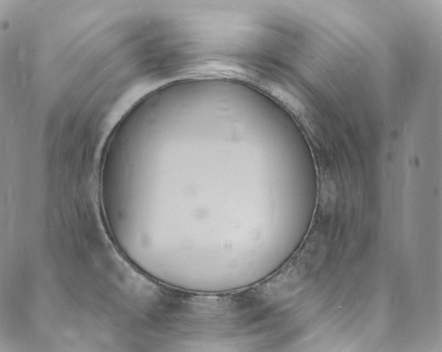 X0000089901478200706281435