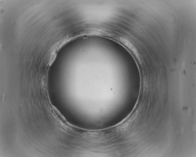 X0000089901481200706281435