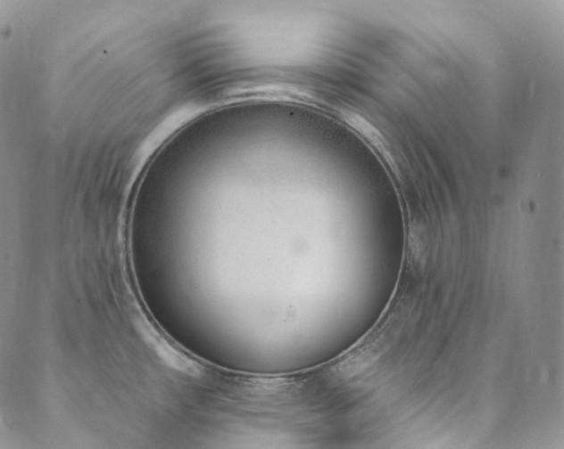 X0000089901482200706281435