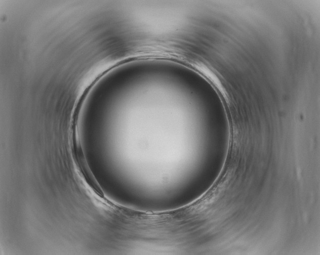 X0000089901485200706281435