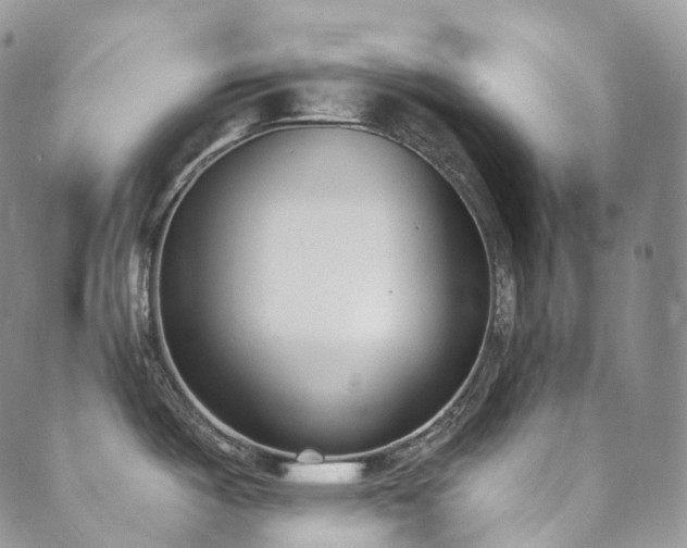 X0000089901487200706281435