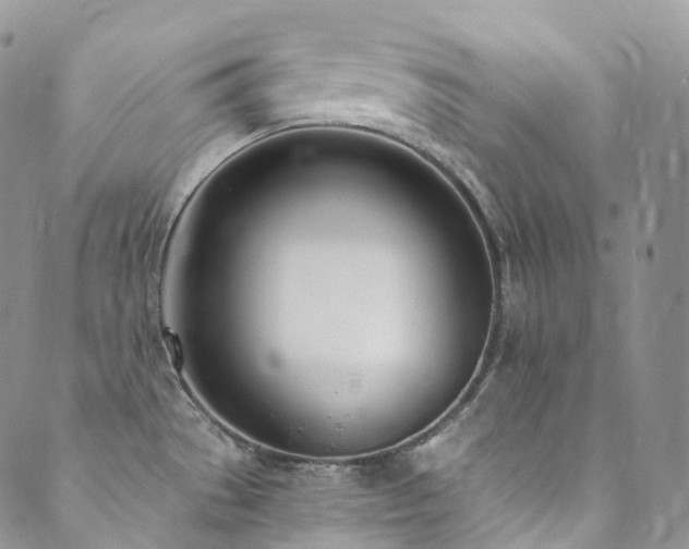 X0000089901529200706281435