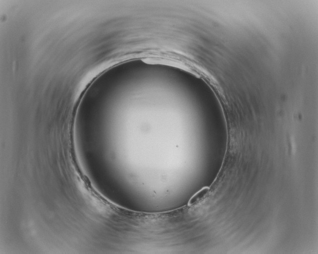 X0000089901530200706281435