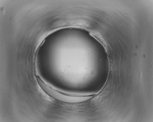 X0000089901532200706281435