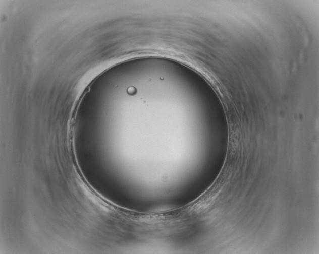 X0000089901535200706281435