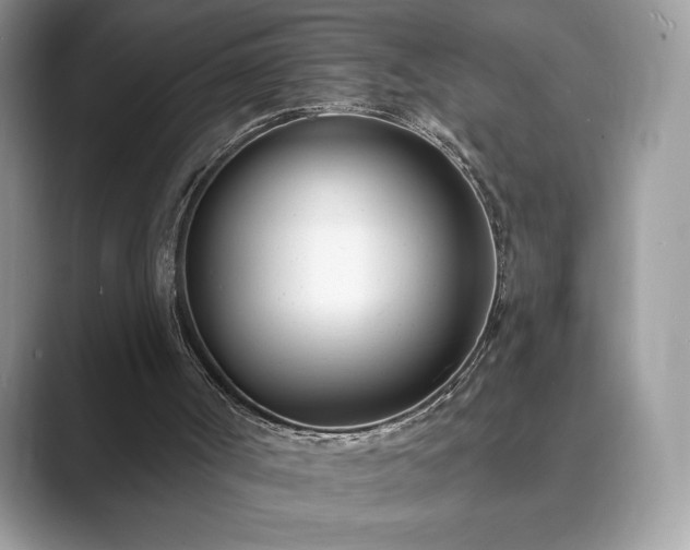X0000089900002200707051316