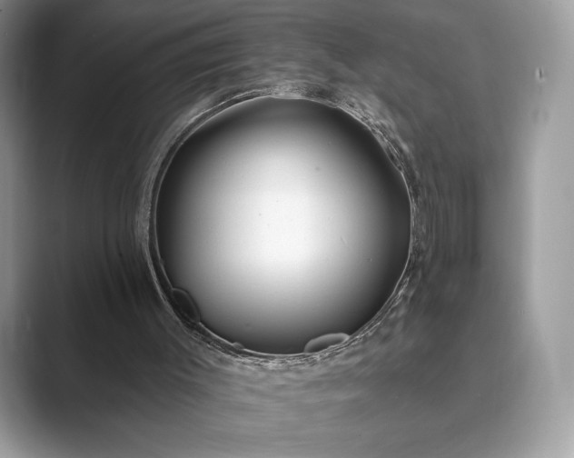 X0000089900003200707051316