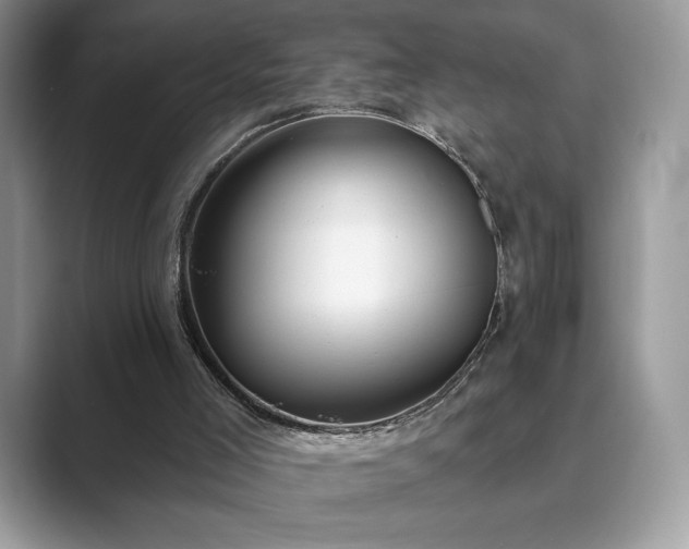 X0000089900005200707051316