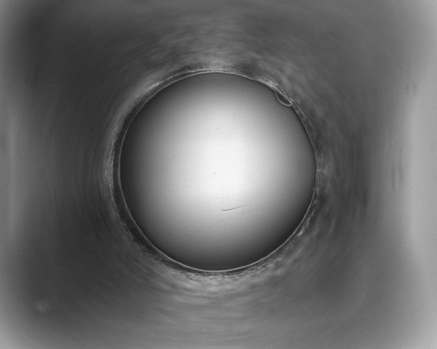 X0000089900006200707051316