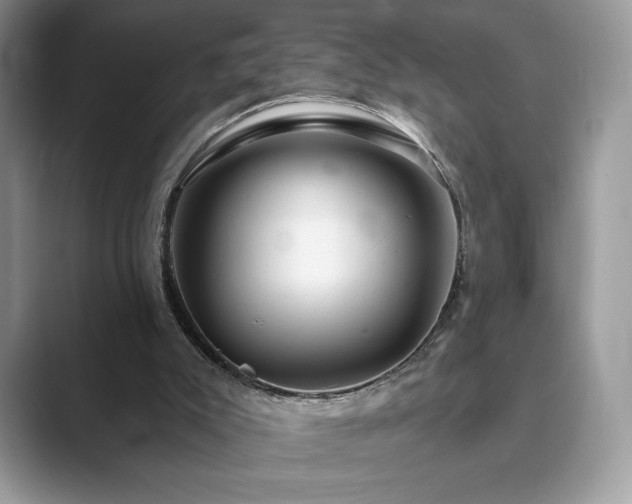 X0000089900007200707051316