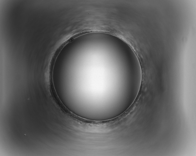 X0000089900008200707051316