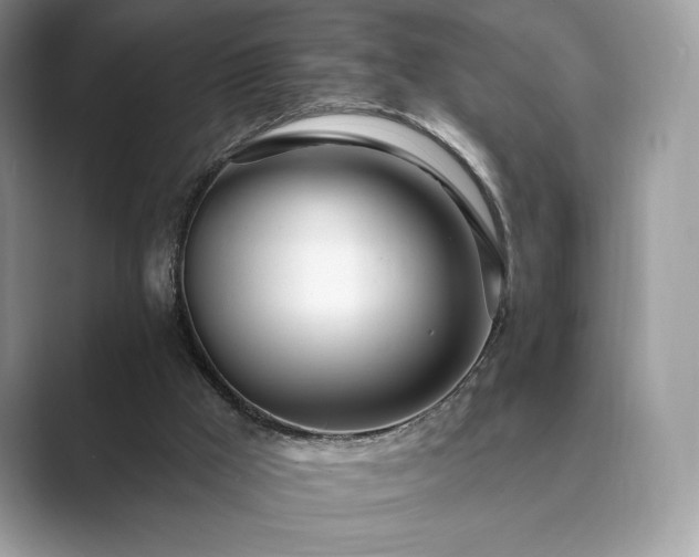 X0000089900009200707051316