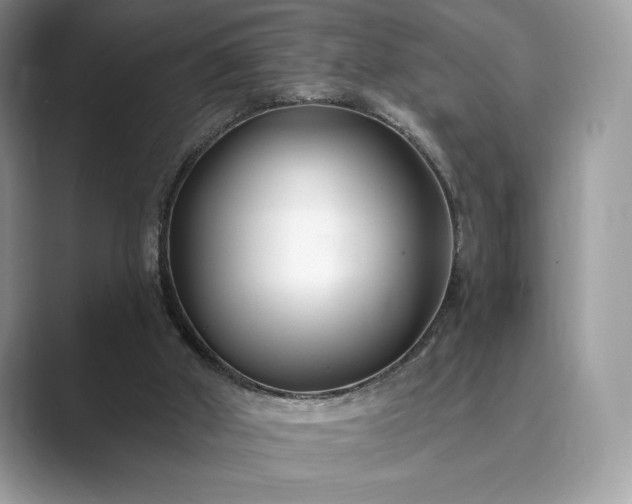 X0000089900010200707051316