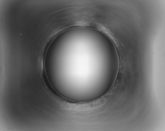 X0000089900011200707051316
