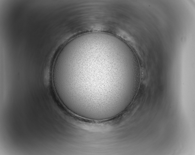 X0000089900012200707051316